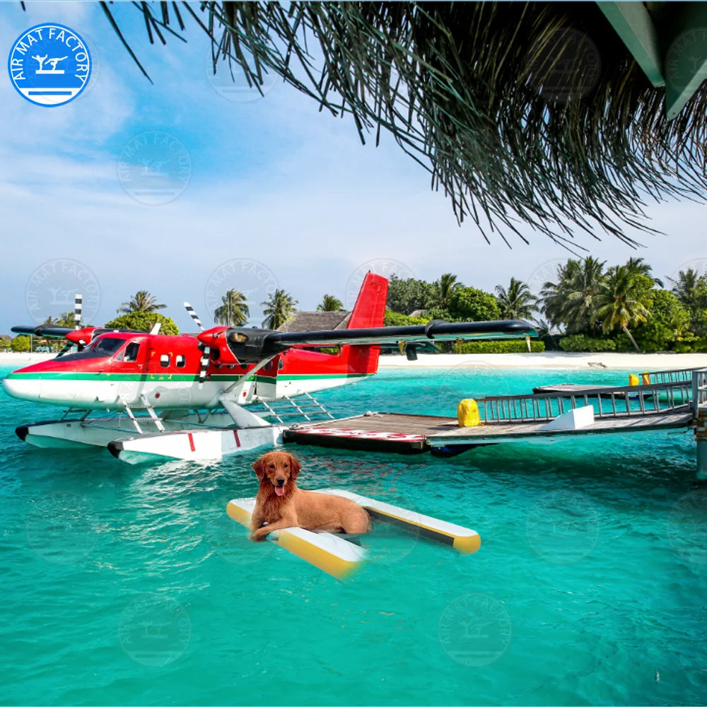 Summer Inflatable Pet Ramp