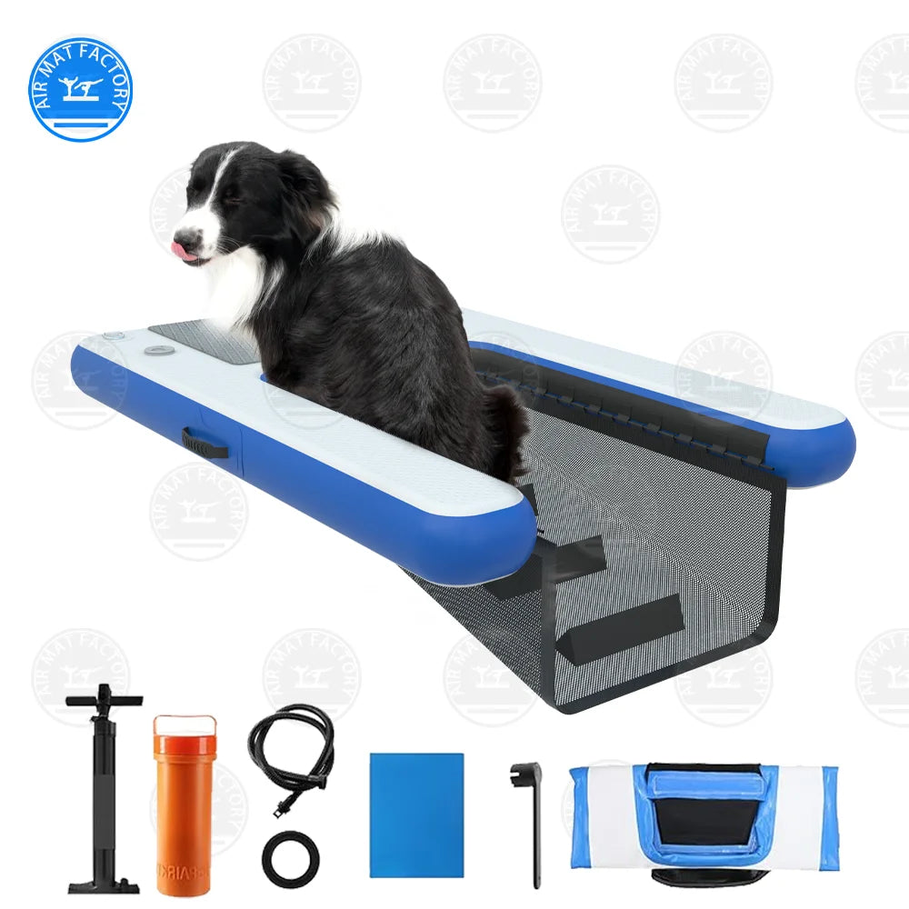 Summer Inflatable Pet Ramp